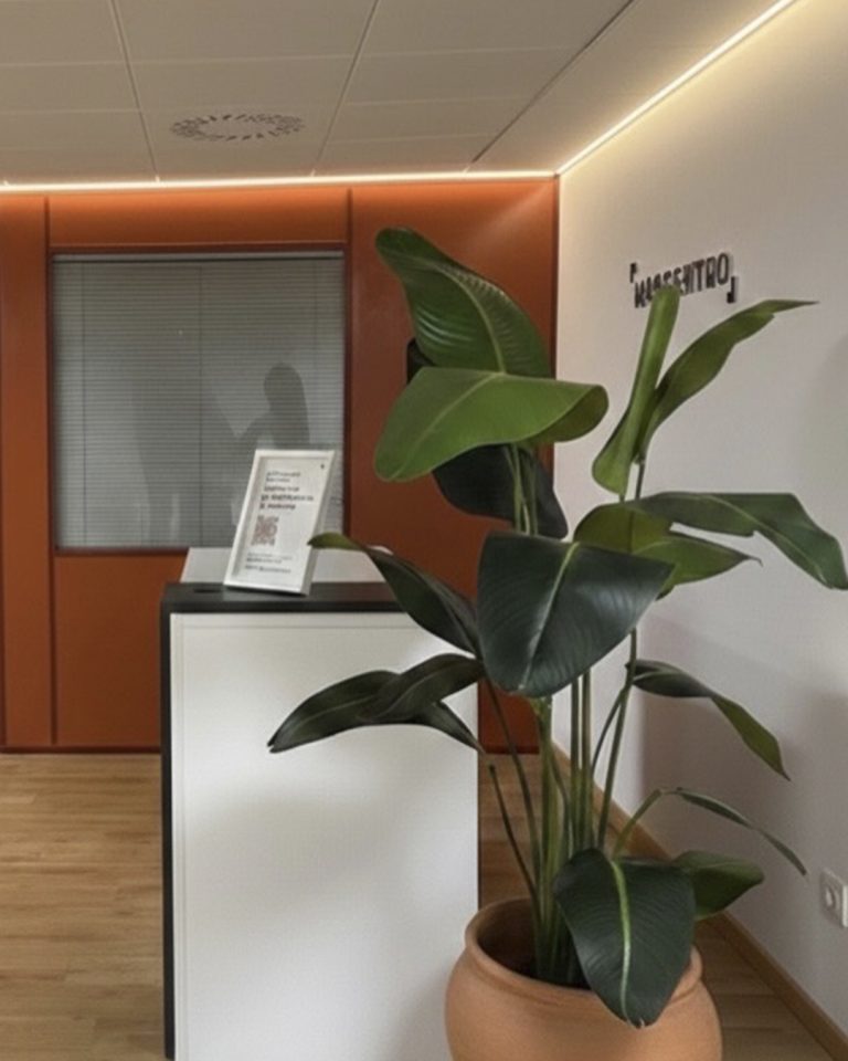 mascentro valencia recepcion